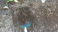 Trail work