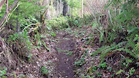 Chronological Trail Series S1,E2 Down N Rowdy