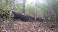 My Log