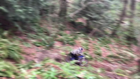 Some biking stuff