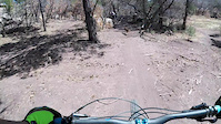 Holy Molé flow trail with Phill and BellaDog