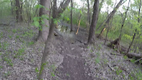 In the trees - let's get started