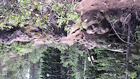 Funner drop
