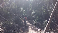 Soquel Demo Flow Trail