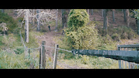 crash into gate nelson