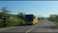 Heniu in late spring