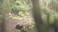 duck lake trails