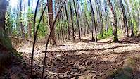 Early season Gunn Park