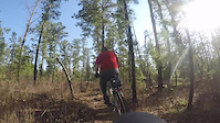 Batsto Orange Trail