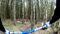 kids trail at mabie forest
