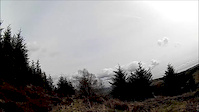ridigers trench,mabie forest natural
