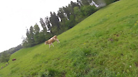Rabenfluh Thun