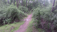 Owl's Roost and Shady Side