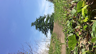 Close up of ski trail gap