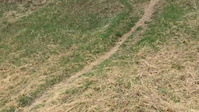 Millcreek DH trail