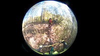 Roots and Ruts and Devon DH