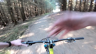 Mud and Roots, Glentress