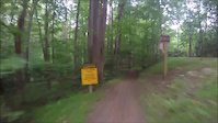 Owls Roost shady side trail