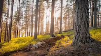 Baksidan, Källviken, trailbuilding
