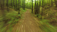 Misionis Trail - Fast