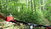 Brant Tract - Devils elbow