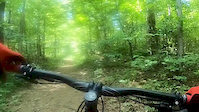 Carrick Tract - Sleepy Hollow