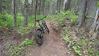 Trail Preview - Shady Lane