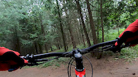 the pines mountain bike trails