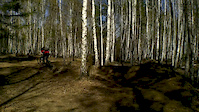 Irkutsk trail 'Akadem'