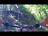 Split Tree Crash