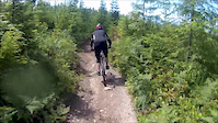 Nice flowy trail with fast drops