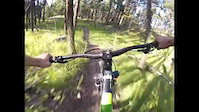 The pineview sampler