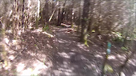 Rollercoaster (Squamish)