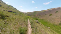 Cattail Hill