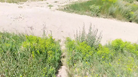 North Woods River Run