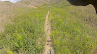 Pavan Horse TrailPavan Horse Trail (central)