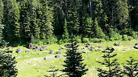 VOTR Goat Creek to Tumwater Loop