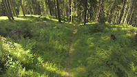 Beglika - Short downhill trails