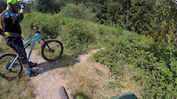 Czech Dh Trail