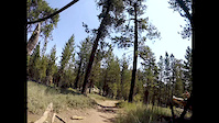 Pinos Log Jump Section