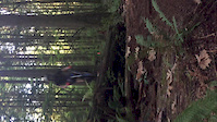 Thornstar first gap
