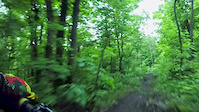 Black Bear Full POV