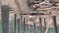 jump trail