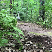 rocky run gaps