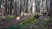 DNZ Jump Trail