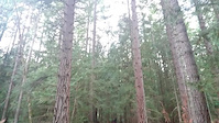 Drop and Gap Jump