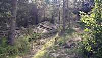 Rock garden