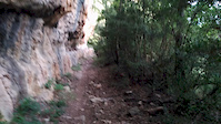 Shaky video of lower trail