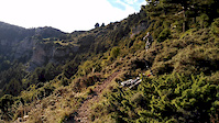 Trails with a view