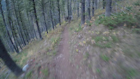 Sheep Creek Trail part 3